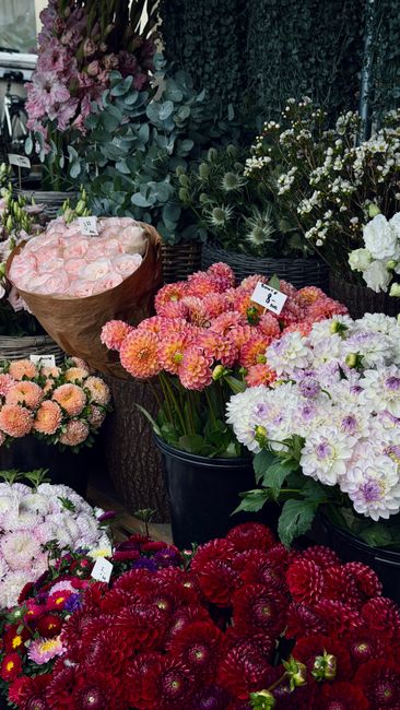 A vibrant display of fresh flowers at a florist shop, featuring a variety of blooms arranged in black and brown pots and wrapping paper. Prominent in the foreground are large, bushy red dahlias with t