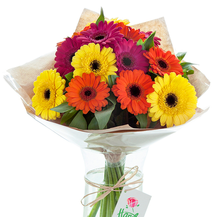 Prominently positioned against a backdrop of pure, luminous white, this radiant bouquet of hand-picked Gerbera daisies encapsulates the vibrancy of a sunny day in Reigate. Around a dozen generous blossoms spill over the rim of a classic glass vase, their velvety petals ranging from brilliant yellow and spirited orange to deep, eloquent magenta. The dark, nearly inky centres of each flower offer striking contrast, creating an interplay of tone and texture that immediately draws attention. Interspersed leafy greens bring a sense of abundance and flourishing life, evoking the well-tended hedgerows seen throughout leafy Surrey lanes. The bouquet is expertly wrapped in a layer of rustic, tan kraft paper-its textured finish enhanced by a subtle sheen of protective cellophane that captures the light and highlights the freshness of the blooms. Stems fan outward from the base, bound by a length of natural raffia and adorned with a simple white tag featuring a stylized rose, alluding to the care and pride local Reigate florists pour into each creation. Perfect as an elegant gift for marking birthdays, anniversaries, or congratulatory milestones within the community, this arrangement celebrates the timeless joy of gifting flowers and the enduring charm of seasonal blooms in the Reigate area.